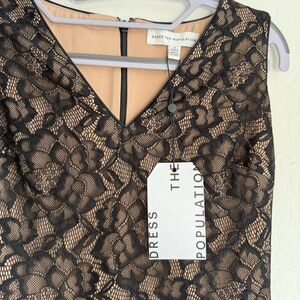 Chic Black and Nude Lace Dress